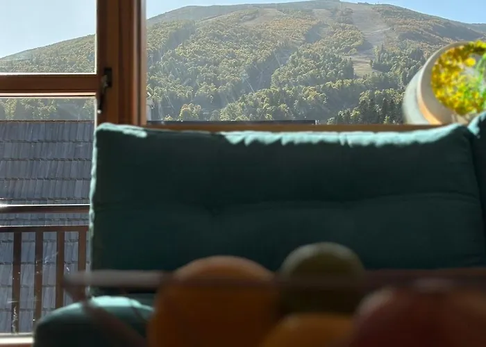 Bex بيلاسنيكا